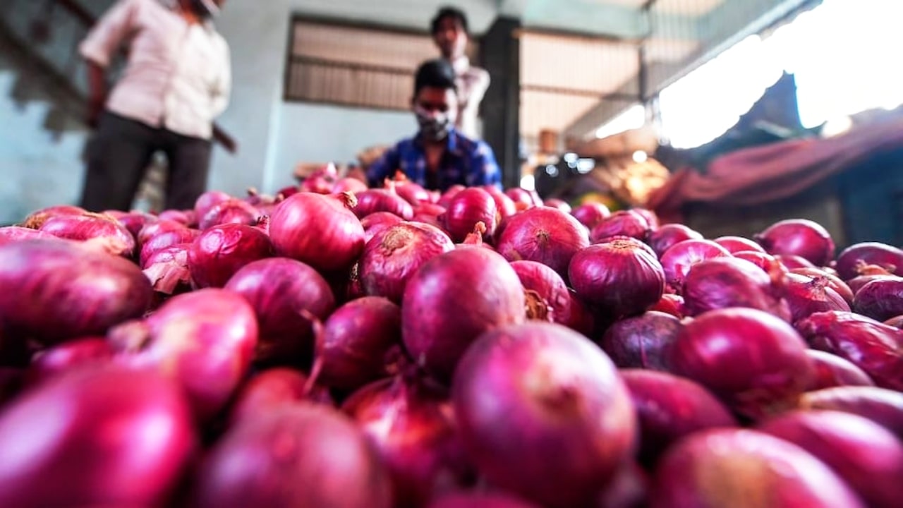 Onion Price: দাম বাড়ছে পেঁয়াজের! বড়সড় সিদ্ধান্ত নিল কেন্দ্র সরকার