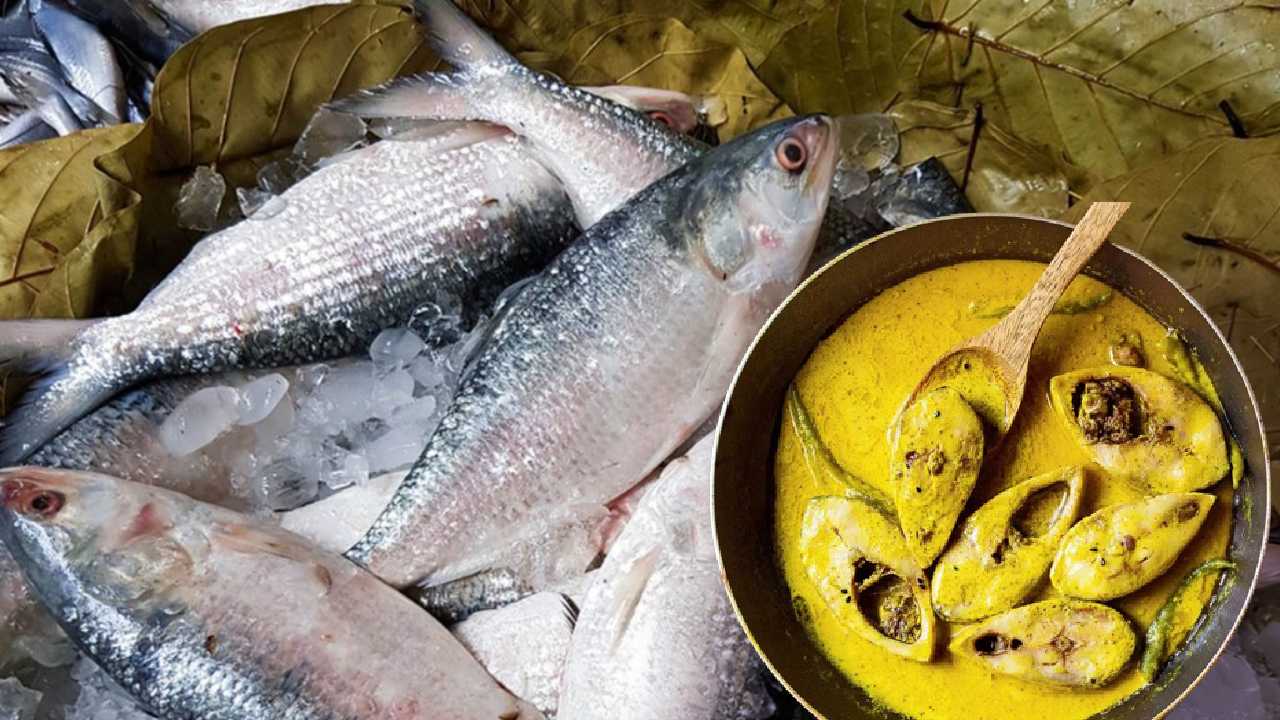 Hilsa Fish Price: দাম কমল পদ্মার ইলিশের! কলকাতায় কত দামে বিকোচ্ছে রুপোলি মাছ