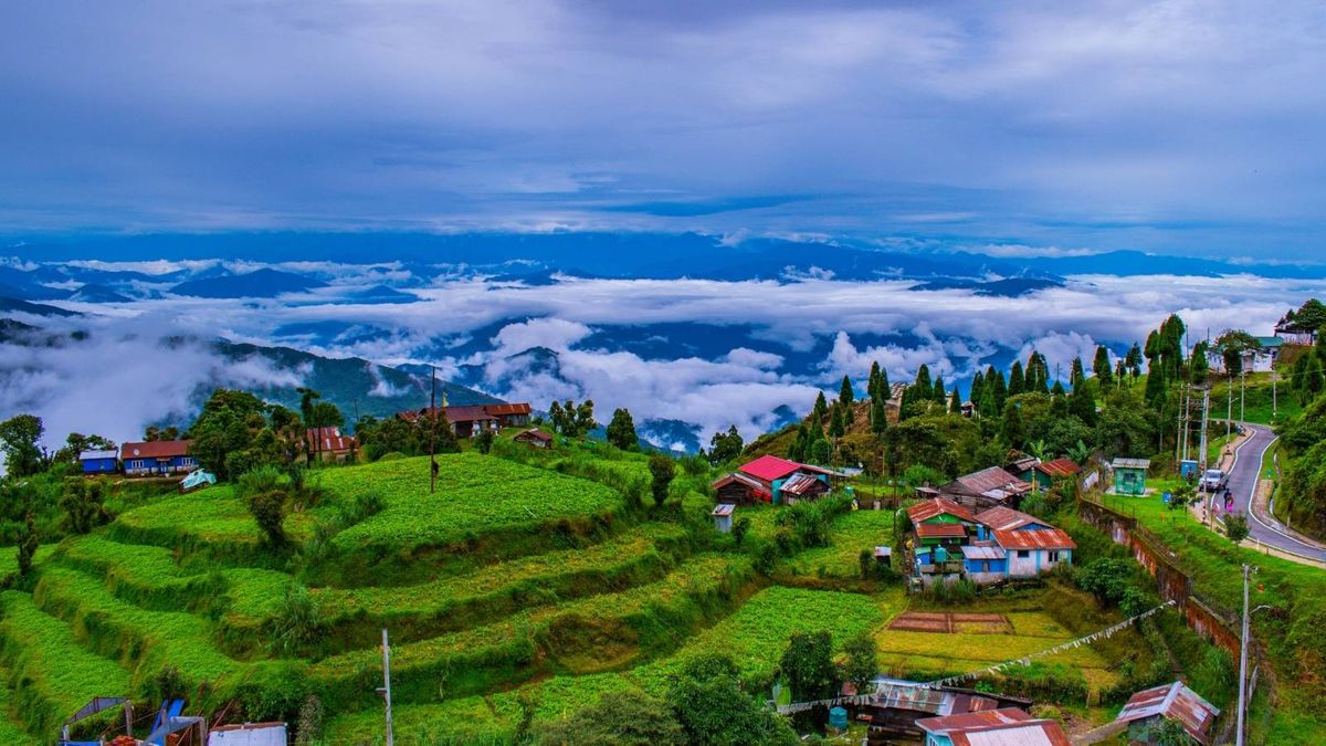 Darjeeling: দার্জিলিং এবার মাত্র ১০০ টাকায়! নতুন বছরে ধামাকা উপহার পর্যটকদের জন্য