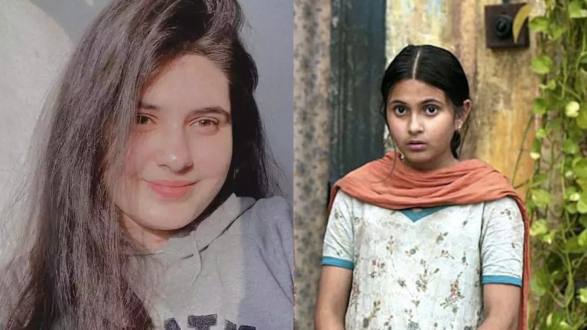 Suhani Bhatnagar: বাস্তব জীবনে থামল 'দঙ্গল', মাত্র ১৯ বছর বয়সে প্রয়াত সুহানি ভাটনগর
